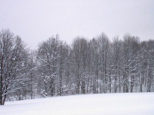 2001.12.16 10.59.31.jpg